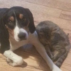 Meet your Posher, Benjamin